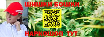 мдпв Шелехов