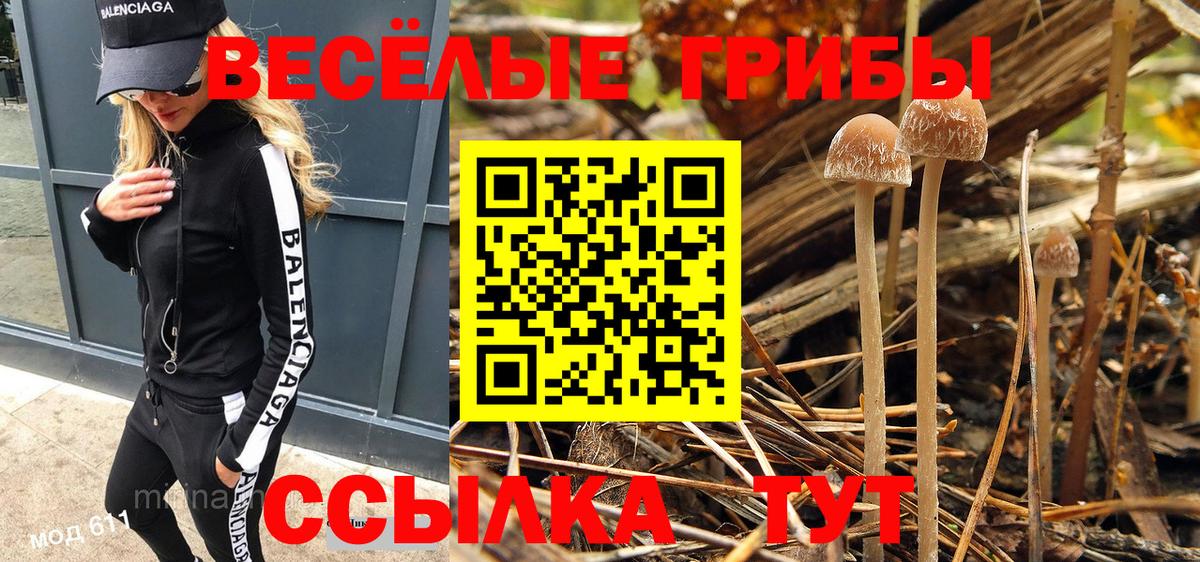 Галлюциногенные грибы ЛСД  сколько стоит  Ачхой-Мартан  Галлюциногенные грибы MAGIC MUSHROOMS  Вход с VPN 